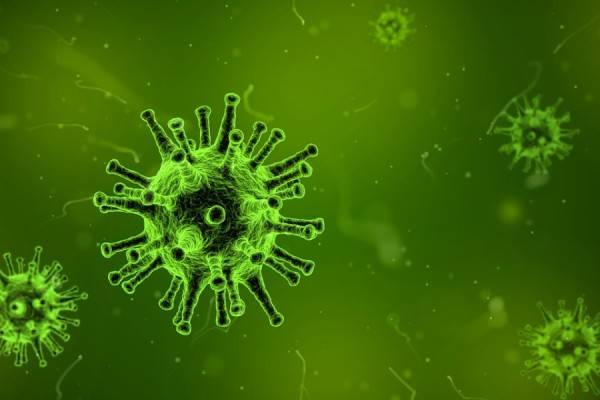 AgroLingua | Coronavirus announcement