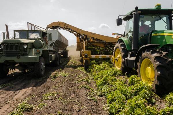 AgroLingua | Landbouwproductie EU blijft stijgen