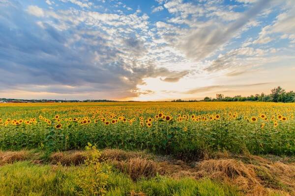 Translation agency AgroLingua | How the accuracy of weather forecasts is improving